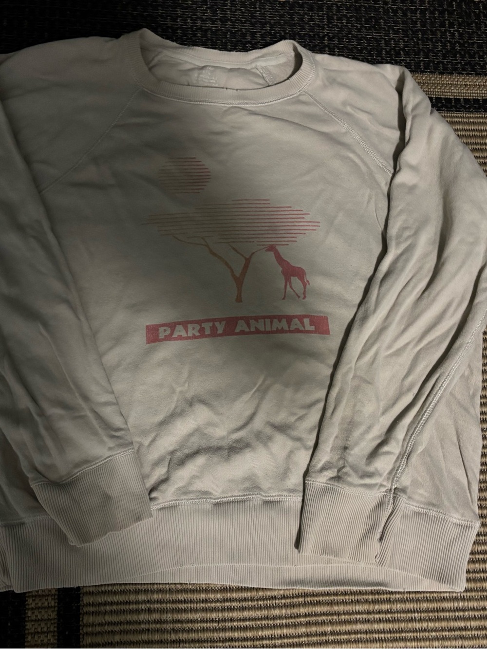 aerie Cream Graphic 'Party Animal' Crewneck Sweatshirt